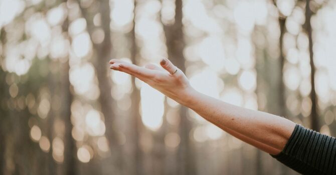 Body Rejuvenation & Firming